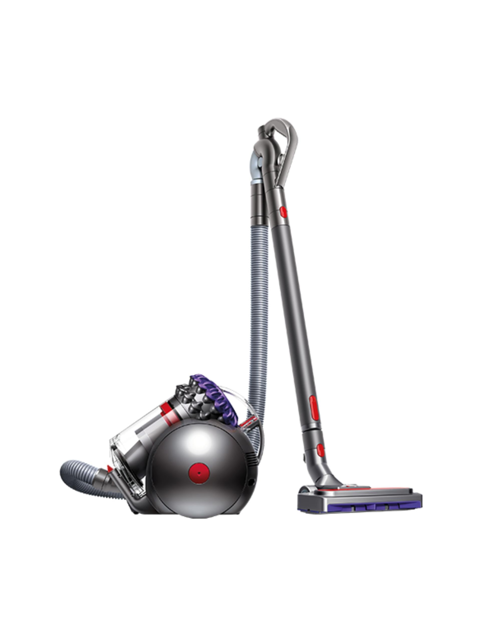 Aspiradora Dyson Big Ball Parquet 2