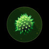 Aspiradora sin cables Dyson Gen5detect Absolute (Azul de Prusía/Cobre)